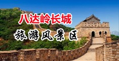 操野逼中国北京-八达岭长城旅游风景区